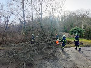 H0 - Ast/Baum gefallen Verkehrsweg