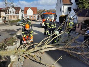 H1 - Ast/Baum gefallen Verkehrsweg
