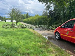 U - Ast/Baum gefallen Verkehrsweg