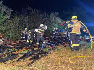 B2 - Feuer/Rauch Busch/Hecke