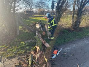 H0 - Ast/Baum gefallen Verkehrsweg