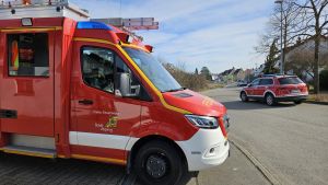 H1 - Rettung Tier eingeschl. Gebäude