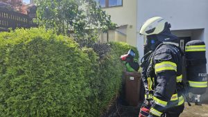 B1 - Feuer/Rauch Busch/Hecke