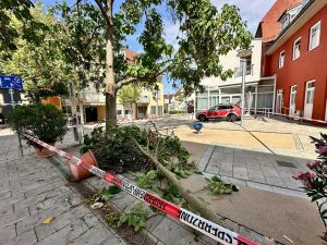 H0 - Ast/Baum gefallen Verkehrsweg