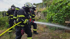 B1 - Feuer/Rauch Unrat/Kompost