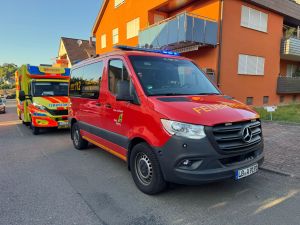 B1 - Brandgeruch EFH