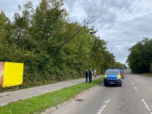 H1 - Ast/Baum droht zu fallen Verkehrsweg