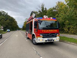 H1 - Ast/Baum droht zu fallen Verkehrsweg
