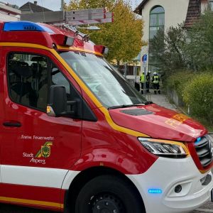H0 - Ast/Baum gefallen Verkehrsweg