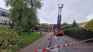 H0 - Ast/Baum gefallen