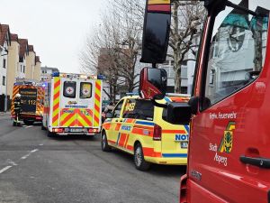 H1 - Sichtschutz angefordert