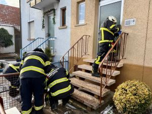 H1 - Pers. eingeschl. Wohnung