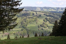 gwausflug_28_04_11k