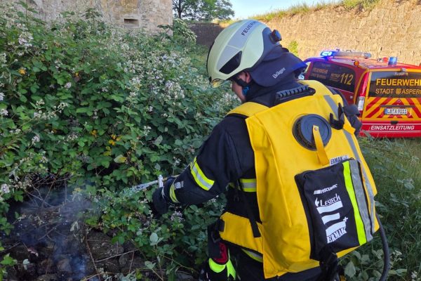 B1 – Feuer/Rauch Busch/Hecke