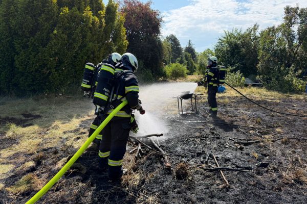 B2 – Feuer/Rauch Gartengrundstück