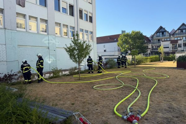 B1 – Feuer/Rauch Busch/Hecke