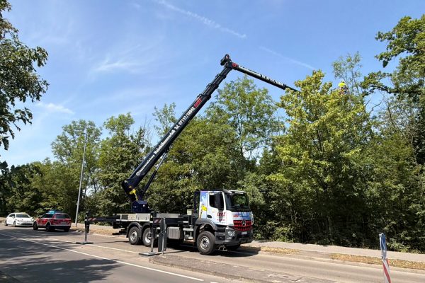 H1 – Ast/Baum droht zu fallen Verkehrsweg