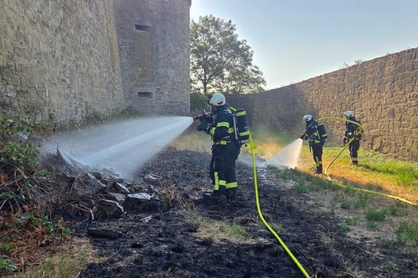 B2 – Flächenbrand