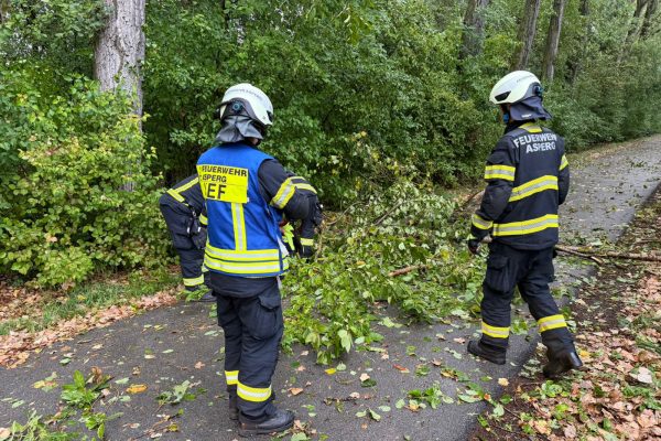 H0 – Ast/Baum gefallen Verkehrsweg