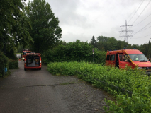 1219-9ba23d71-cd6f-48a7-b369-d170a5579f96