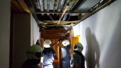 1219-a7586a56-47cd-4b2a-86b0-385604b39070