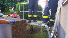 1240-6a8ddf87-0634-40c2-ba78-4cf9a0fc3aab