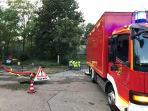 1258-2c9e5a5d-d87f-49fb-9ea4-4759a25432fc