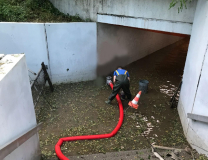 1258-cb1b9148-0be2-4dd4-a773-a9f9387c909f