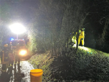 1355-4261ab88-430e-4eea-a578-90dc94bc16e3