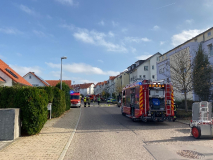 1525-IMG_2951