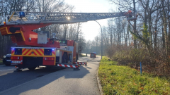 1558-8e8a1c05-02e2-4537-a939-db7600ffac45