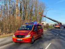 1558-92dabc16-e6b6-4dba-8208-4fab96be0dd7