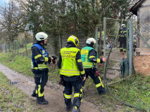 2427-2022_11_24_B1_3