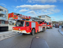 2441-2023_12_20_B3_Tamm_1