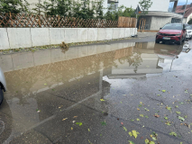 2572-2024_07_12_H0_3_2