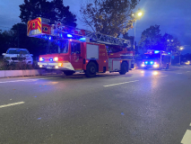 2646-2024_10_23_B3_1