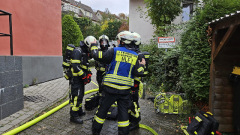 2647-2024_10_24_B3_1