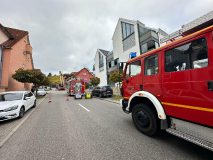 2647-2024_10_24_B3_3