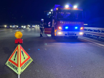 2665-2024_11_24_H1_2