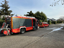 2685-2025_01_04_B1_1