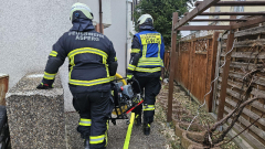 2696-2025_01_25_G3_3