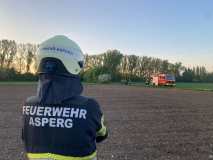 2742-2025_04_29_G3_3