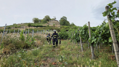 2789-109_2025_07_20_B1_2