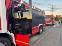 2814-133_2025_08_19_B3_2