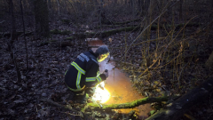 2876-194_2025_12_16_G1_1