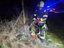 2890-209_2025_12_31_B1_1