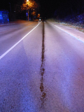 763-DSCN7375