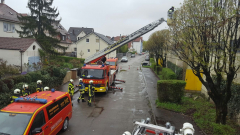 822-IMG_4409