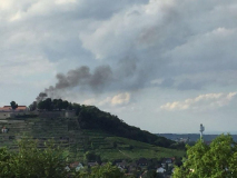 865-IMG_5245