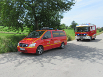 871-IMG_0250